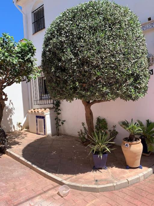 garden-2