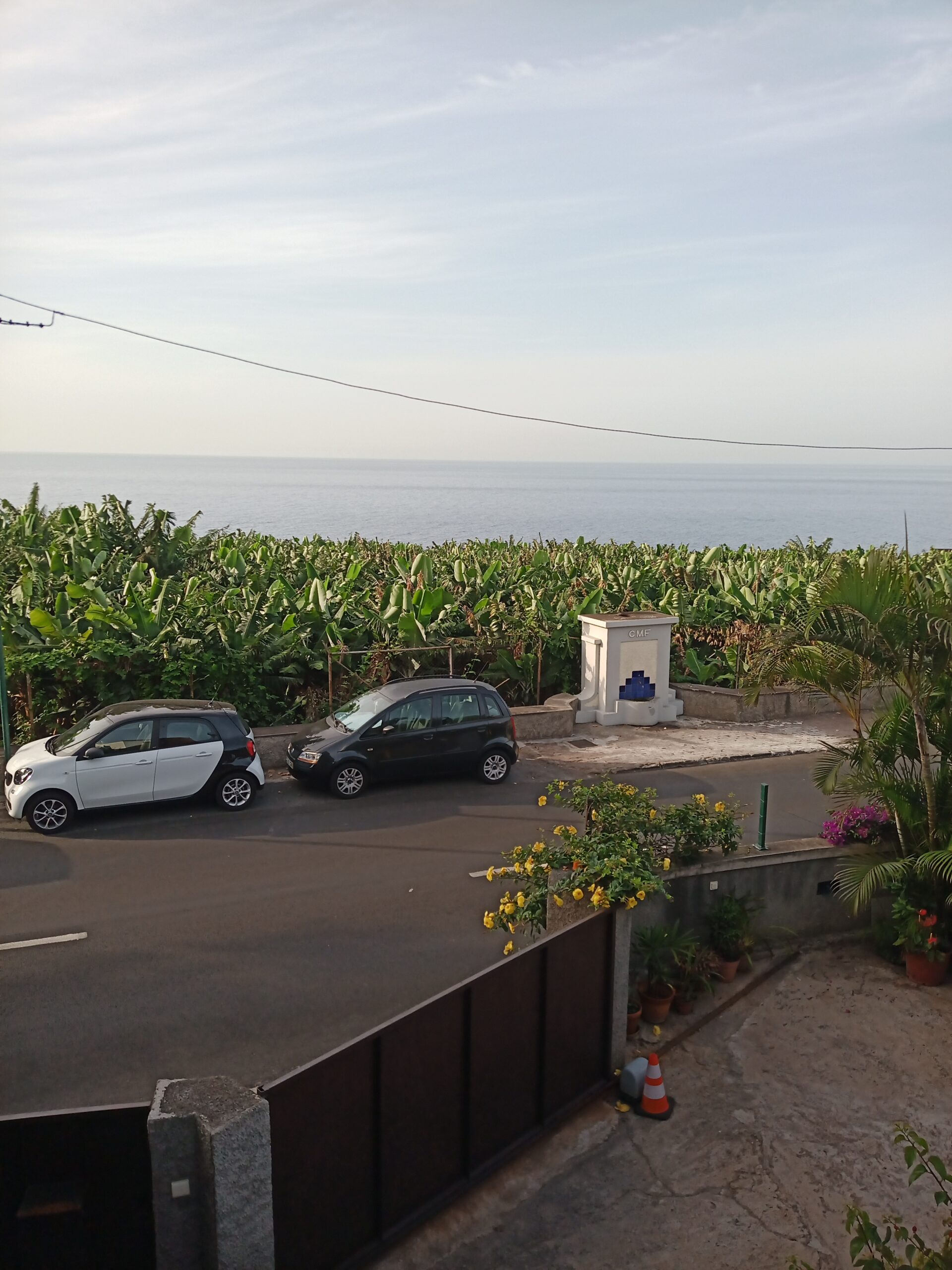 view-1
