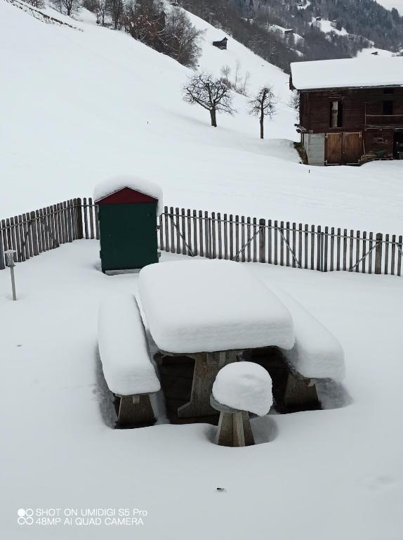 winter-garten